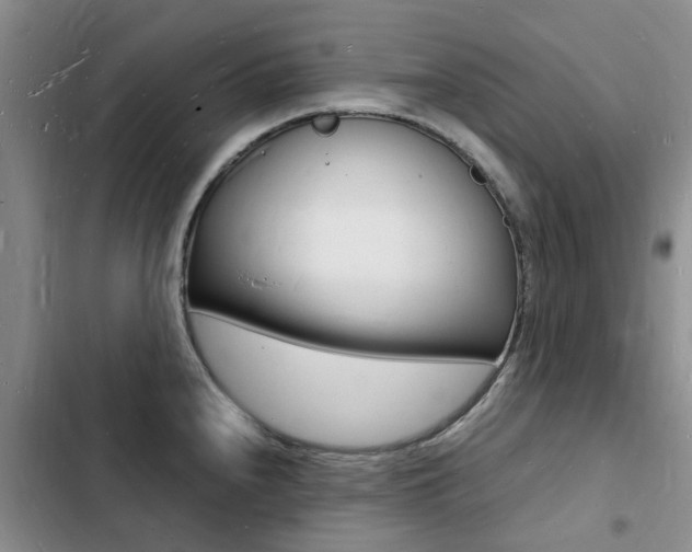 X0000103251240200808281049