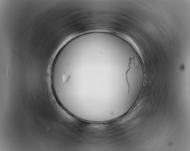 X0000103251243200808281049