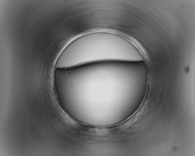 X0000103251244200808281049