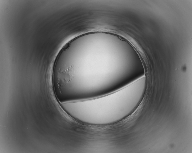 X0000103251246200808281049