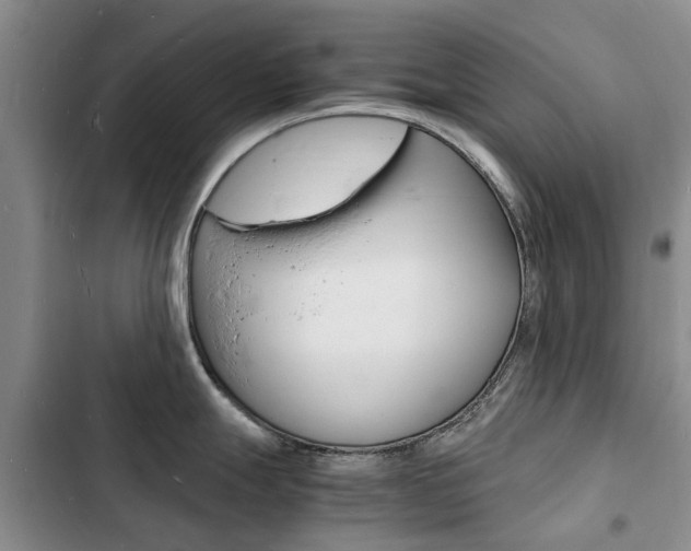 X0000103251247200808281049
