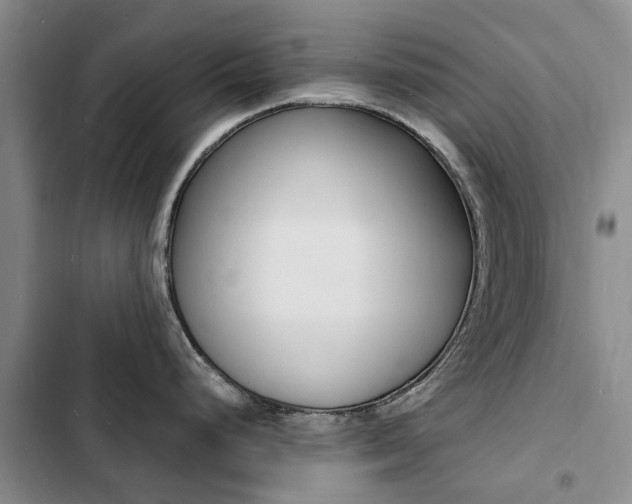 X0000103251248200808281049