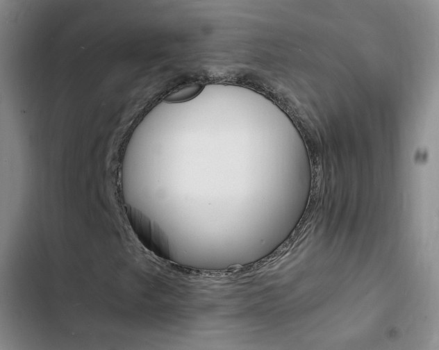 X0000103251249200808281048