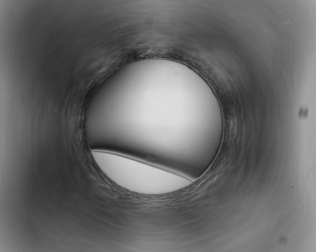 X0000103251250200808281048