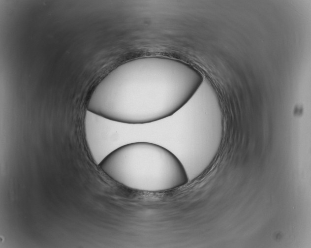 X0000103251251200808281048