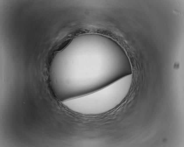 X0000103251253200808281048