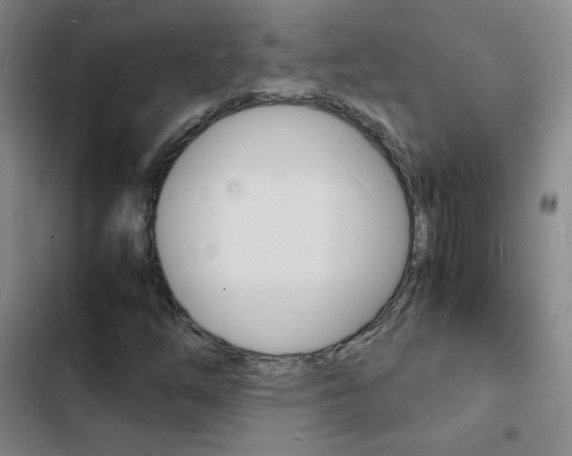 X0000103251254200808281048