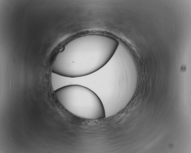 X0000103251255200808281048