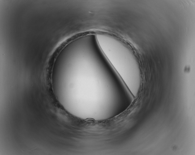 X0000103251256200808281048