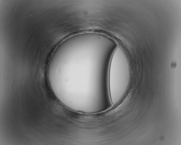 X0000103251257200808281048