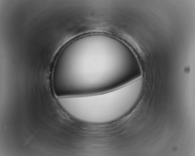 X0000103251260200808281048