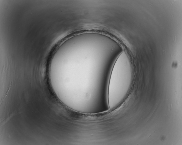 X0000103251261200808281048