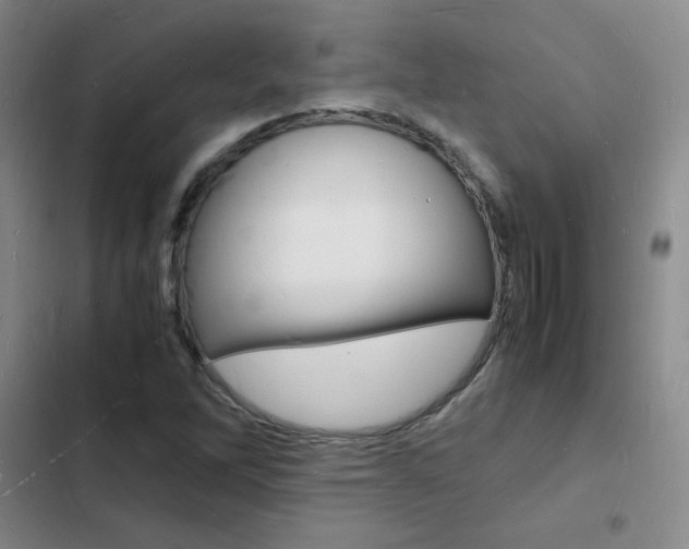 X0000103251262200808281048