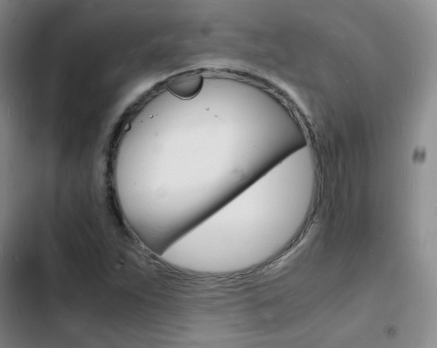 X0000103251263200808281048