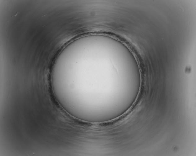 X0000103251265200808281048