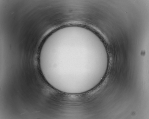 X0000103251266200808281048