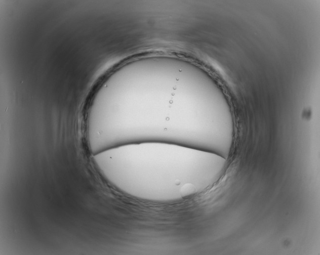 X0000103251267200808281048