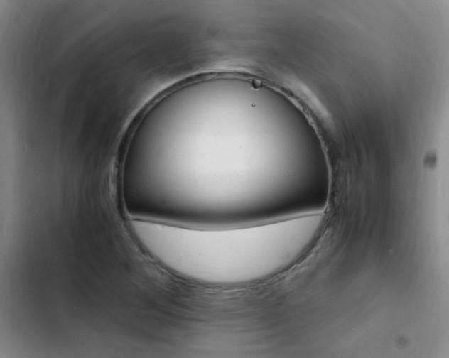 X0000103251268200808281048