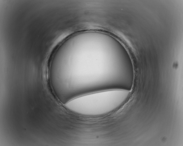 X0000103251269200808281048