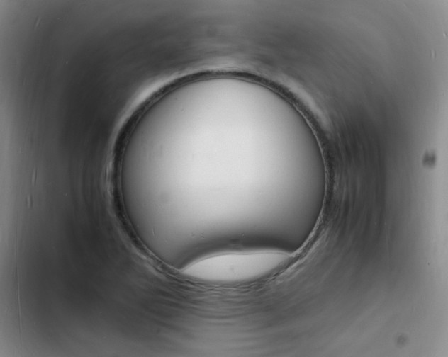 X0000103251270200808281048