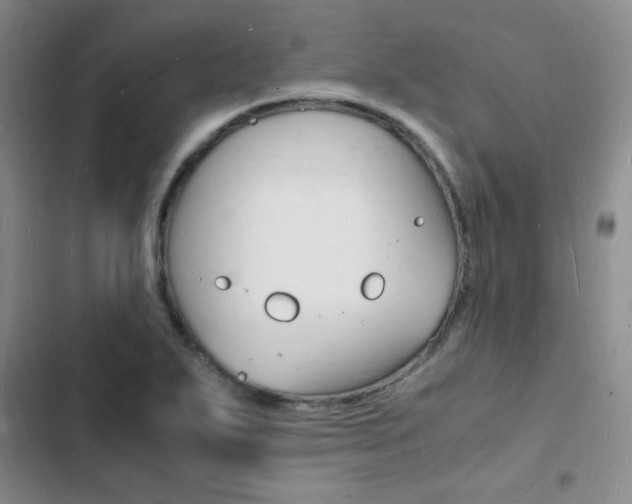 X0000103251271200808281048