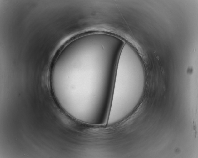 X0000103251272200808281048