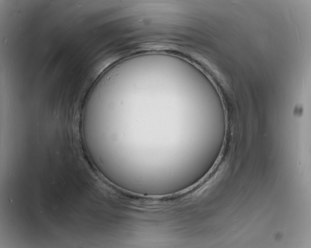 X0000103251273200808281048