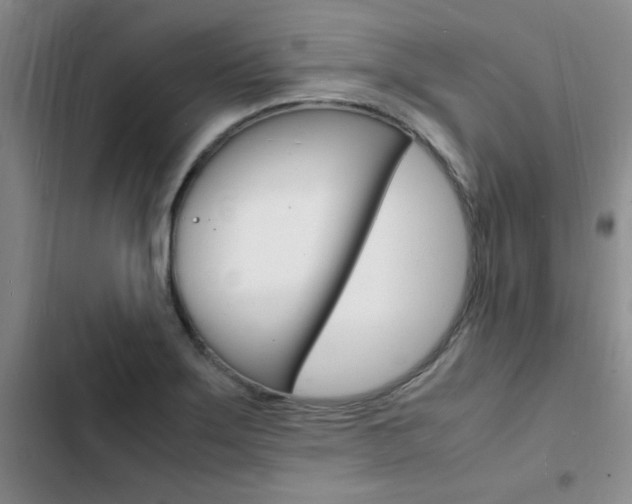 X0000103251275200808281048