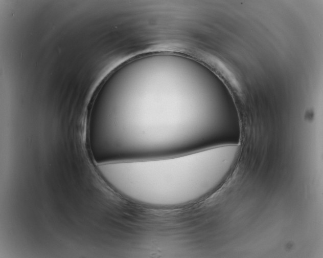 X0000103251276200808281048