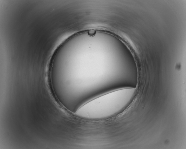 X0000103251277200808281048