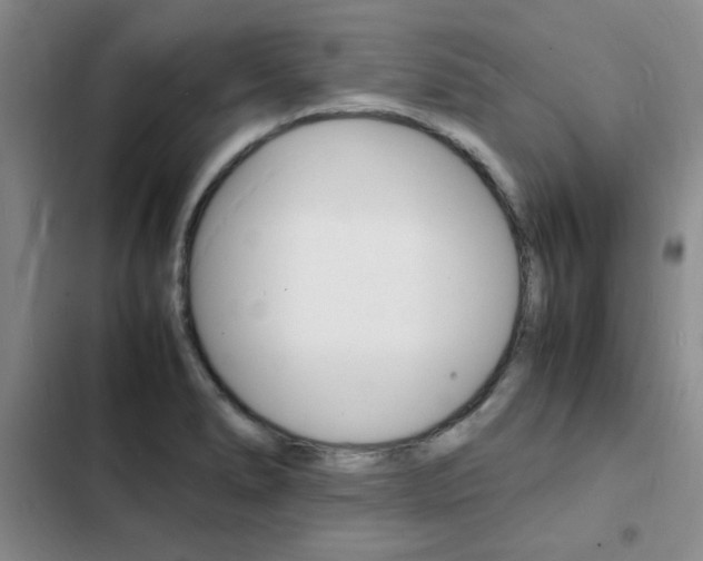 X0000103251278200808281048