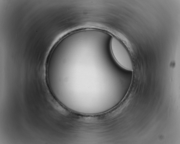 X0000103251280200808281048
