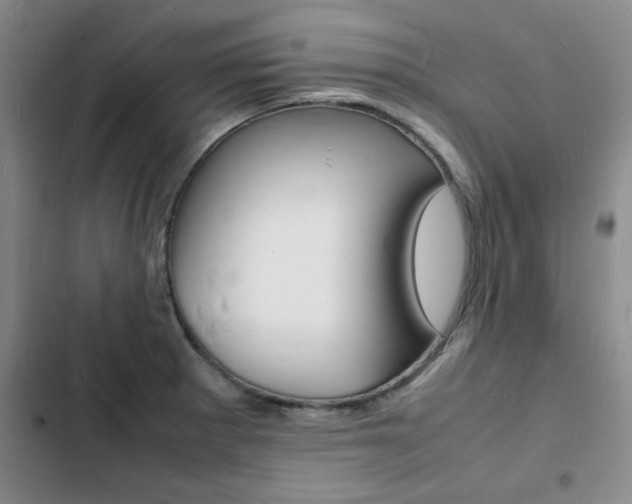 X0000103251281200808281048