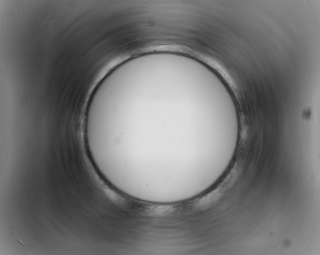 X0000103251282200808281048