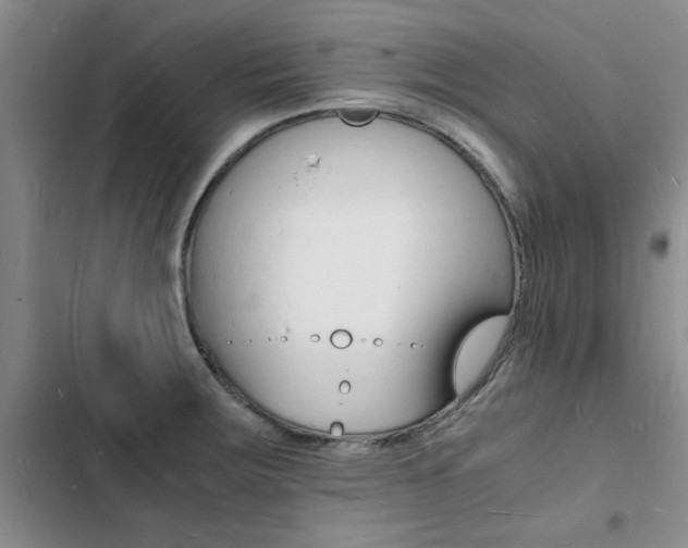 X0000103251283200808281048