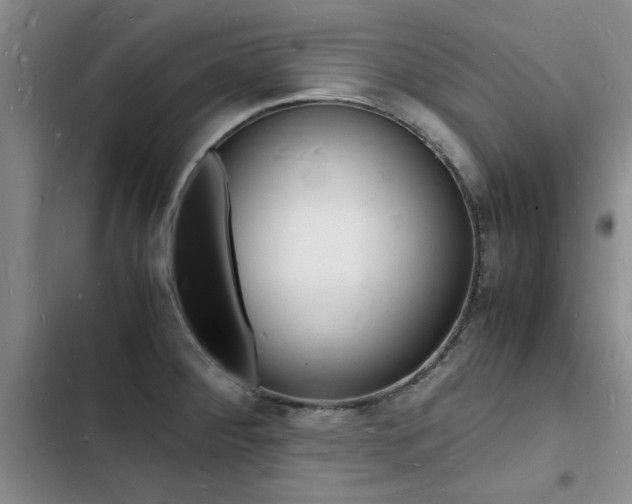 X0000103251284200808281048