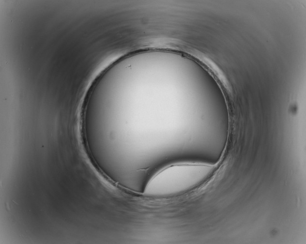 X0000103251285200808281048