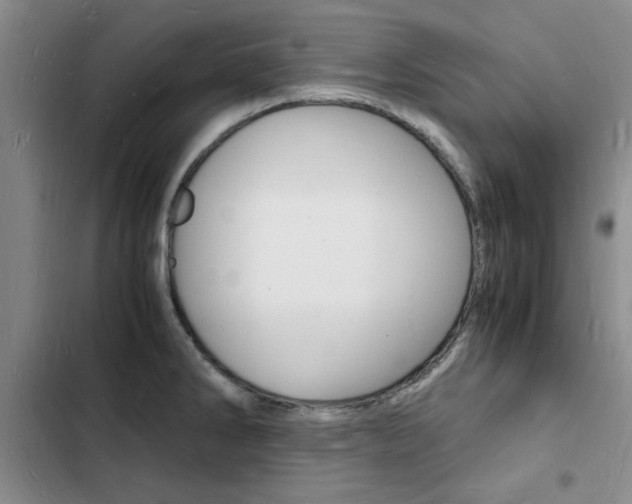 X0000103251286200808281048