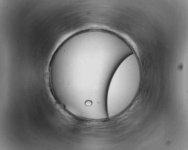 X0000103251287200808281048