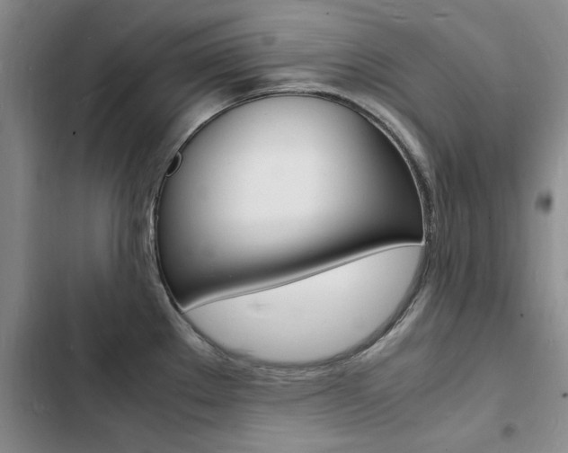 X0000103251289200808281048