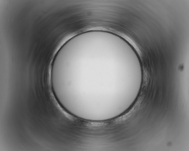 X0000103251290200808281048