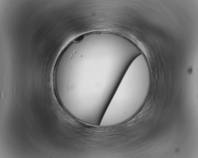 X0000103251291200808281048