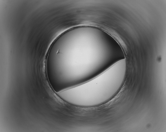 X0000103251292200808281048