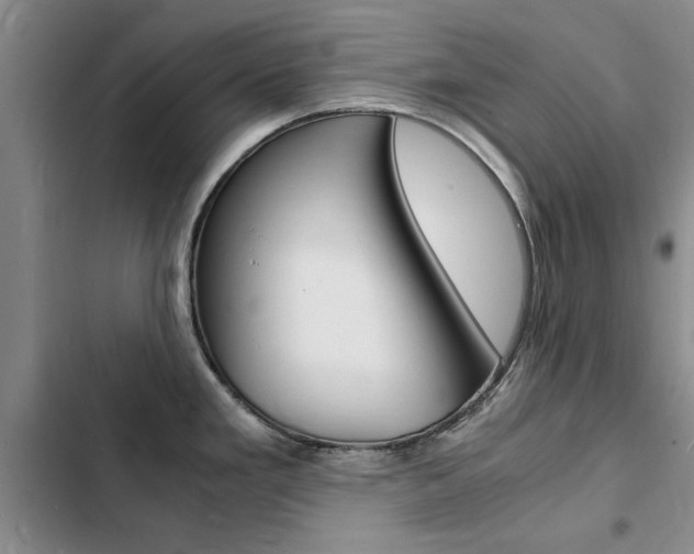 X0000103251293200808281048