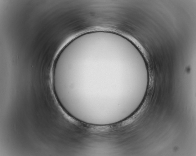 X0000103251294200808281048