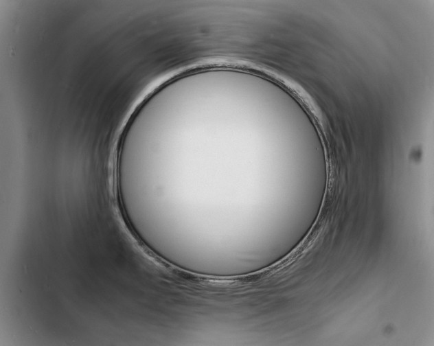 X0000103251295200808281048