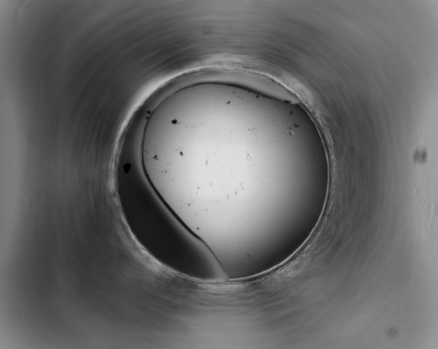 X0000103251296200808281048