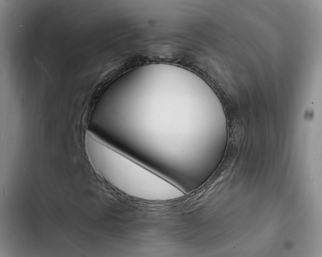 X0000103251297200808281047
