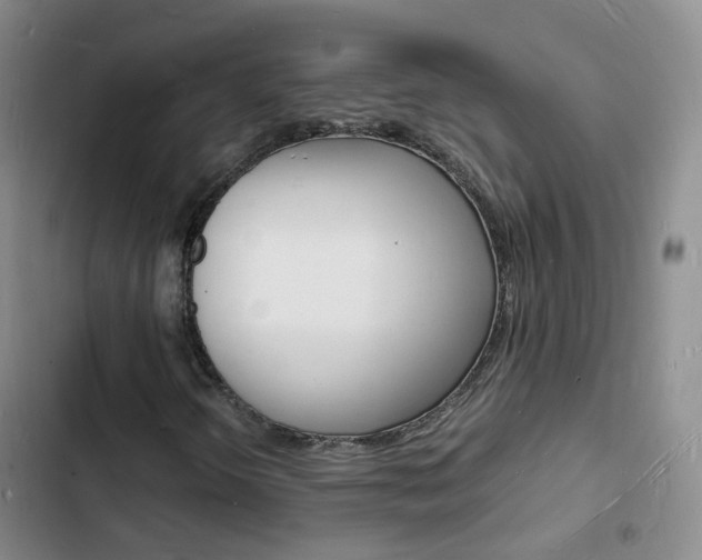 X0000103251298200808281047
