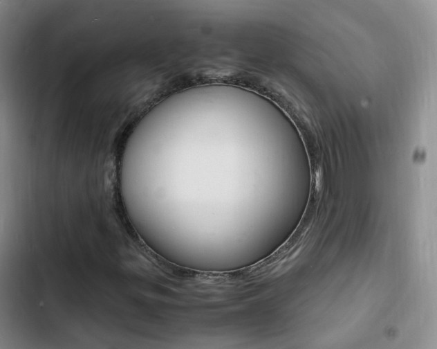X0000103251299200808281047